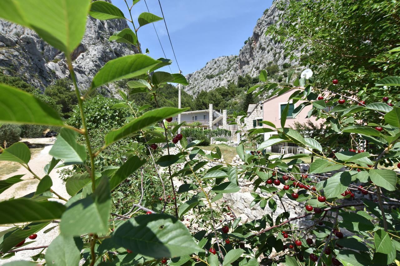 Apartment Petea Omiš Esterno foto