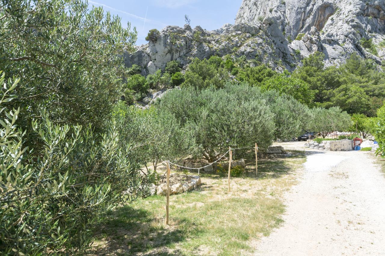 Apartment Petea Omiš Esterno foto